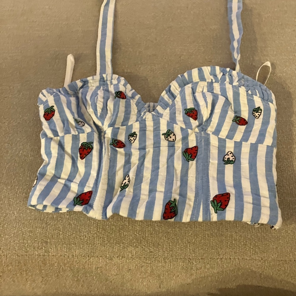 Striped Blue and White Crop Top with Strawberry Print